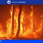 Situación de Alerta por Riesgo de Incendios Forestales en Tenerife