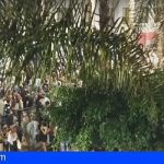 La Laguna | CC-PNC exige que ante el vandalismo del cuadrilátero se convoque de forma urgente la Junta Local de Seguridad