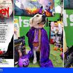 Halloween en Pets in Balck en Adeje