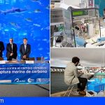 Investigadores canarios e internacionales estudian el potencial del océano como aliado contra el cambio climático