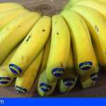 Exención temporal de la norma de comercialización a los plátanos de La Palma afectados por el volcán