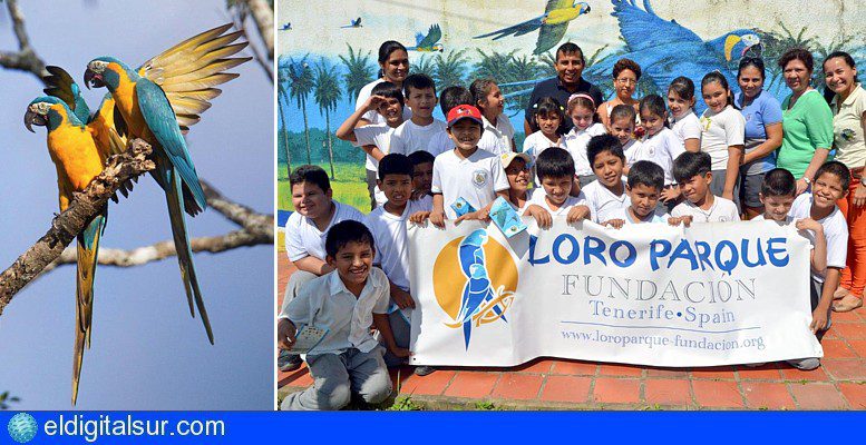 Loro Parque Fundación