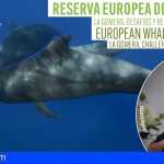 Arona SOS Atlántico | Natacha Aguilar destacará el papel de La Gomera, como paraíso de las ballenas