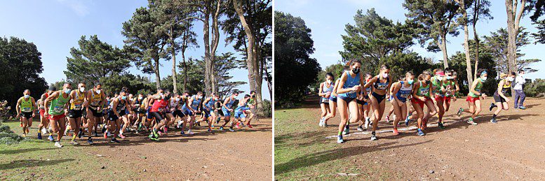 Federación Canaria de Atletismo