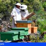 El Cabildo de Tenerife mantiene su apoyo a la apicultura con 92.000 euros
