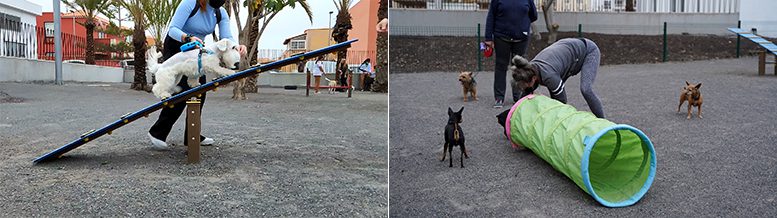 Arona abre el Parque de Las Rosas