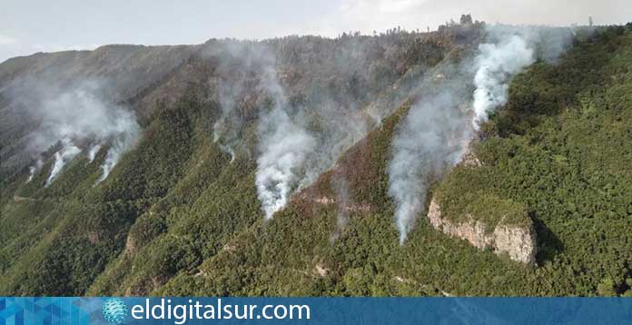 incendio Forestal en Tenerife