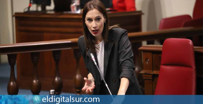 Presidenta del Grupo Parlamentario Socialista, Nira Fierro