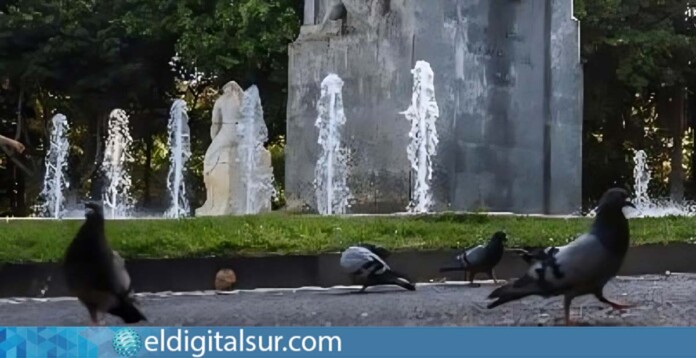 Sanciones-Palomas-Tenerife-010424