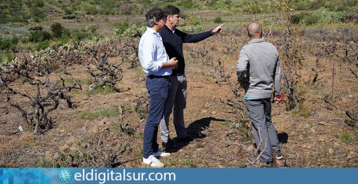 Sector-Primario-Stgo.-del-Teide-010424