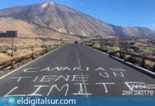 Pintadas en la carretera del Teide - Tenerife Vial