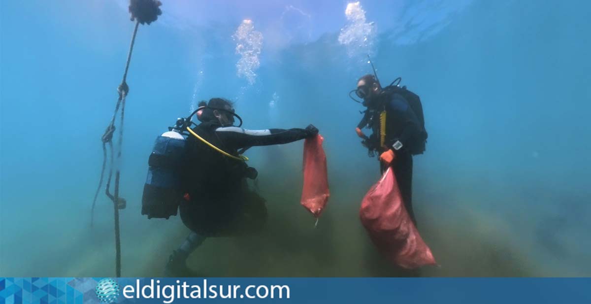 Buzos sacan unos cuantos kilos de basura del muelle de El Porís de Abona