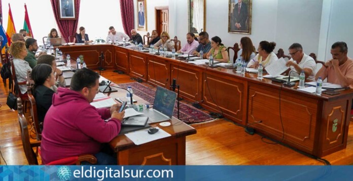 Pleno del Ayuntamiento de Arona / EDS