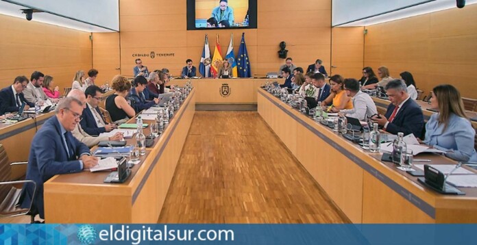 Pleno del Cabildo de Tenerife / EDS