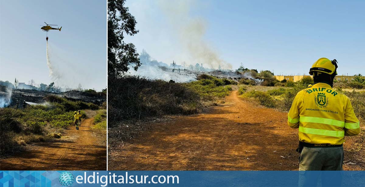 En Tenerife, controlan tres incendios forestales en El Rosario y Los Realejos