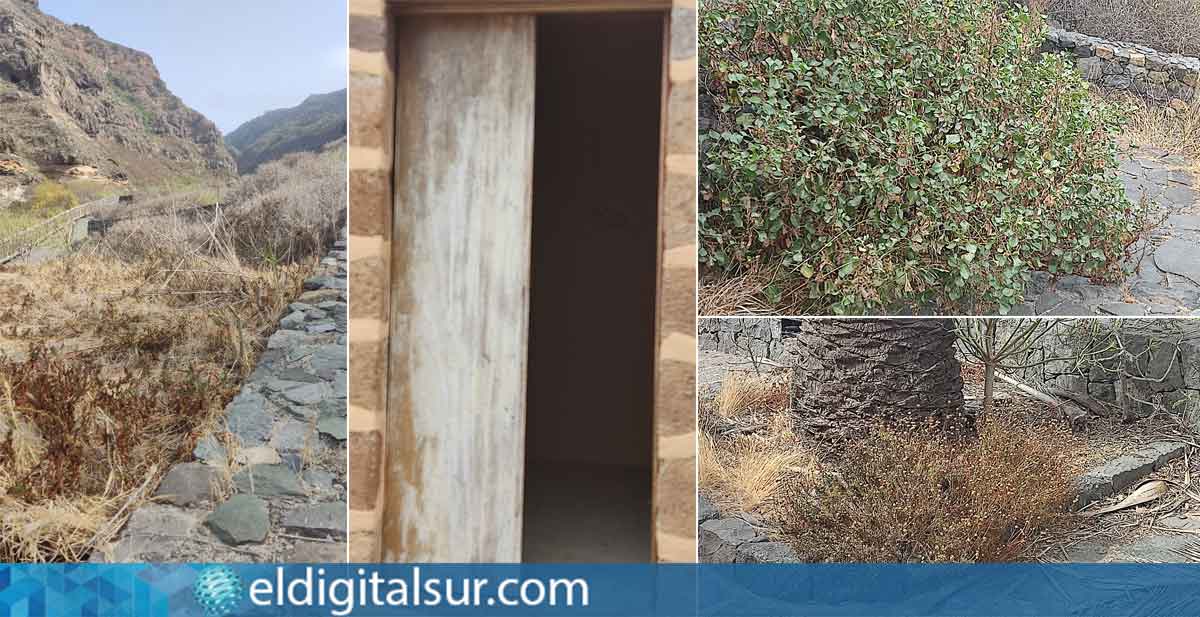 Abandono del Molino de Gofio del Risco de las Pencas