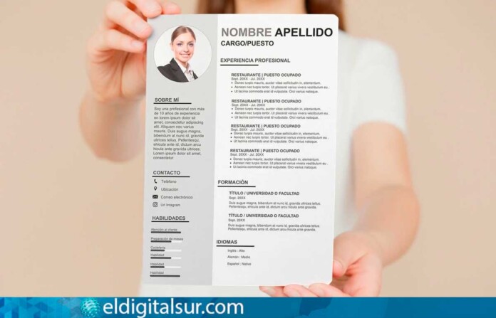curriculum vitae