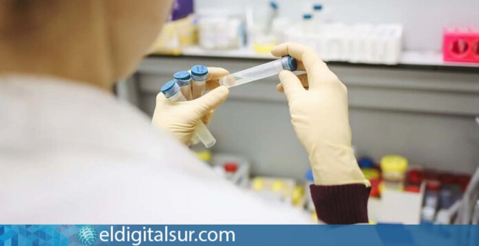 pruebas-laboratorio-270824