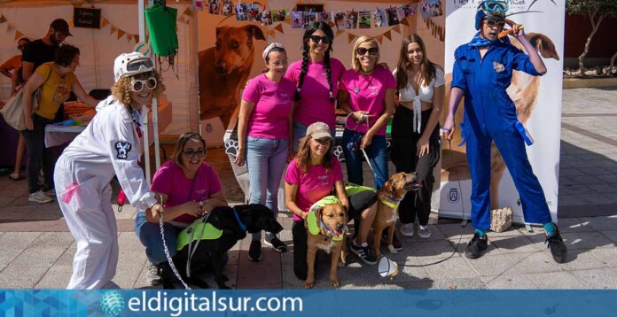 II-Feria-de-Bienestar-Animal-de-Granadilla-181124