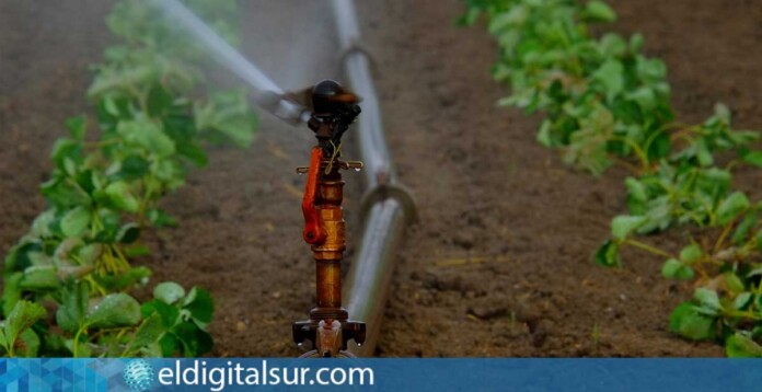 agua-de-riego-siembra-agricola-231124