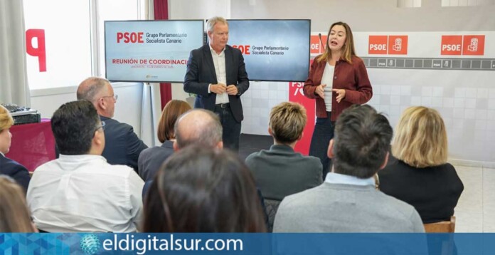 Dolores Corujo (PSOE) / EDS