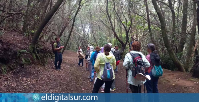 Ruta-Senderismo-Granadilla-de-Abona-140125