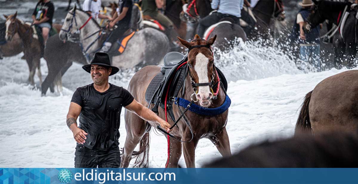 Jinetes y caballos participan en la tradicional entrada al mar de San Sebastián en Adeje