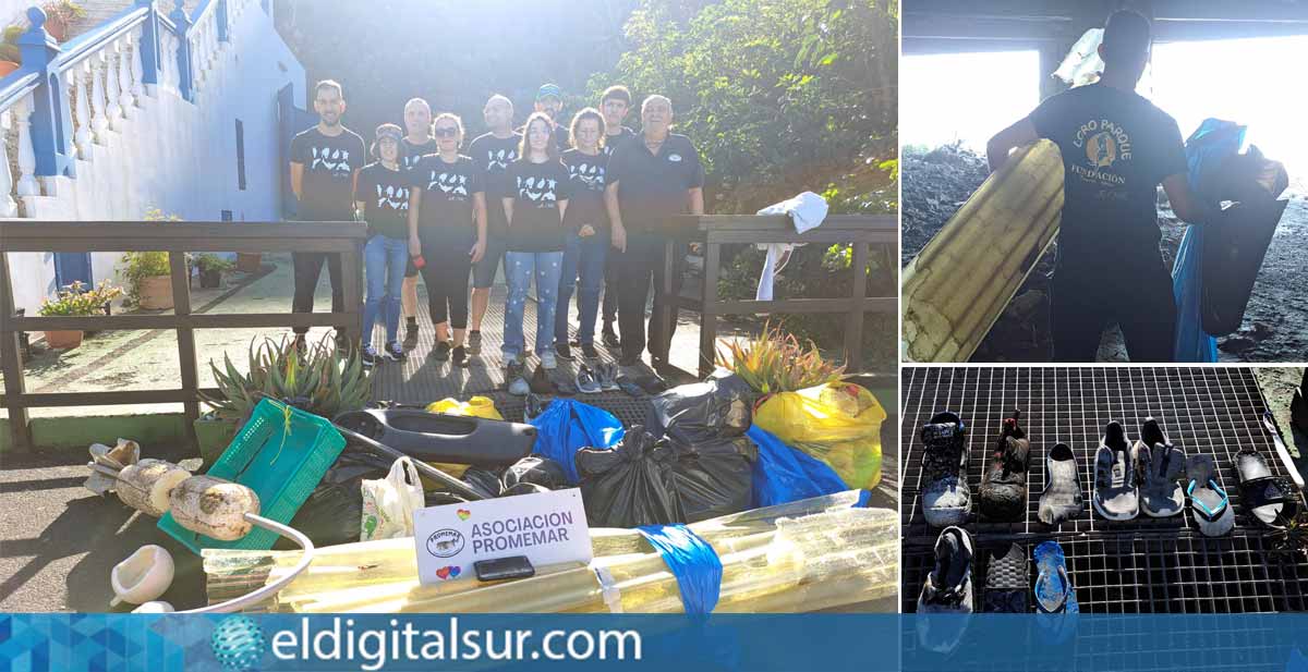 Voluntarios de la Asociación Promemar durante la limpieza en la costa de Taganana