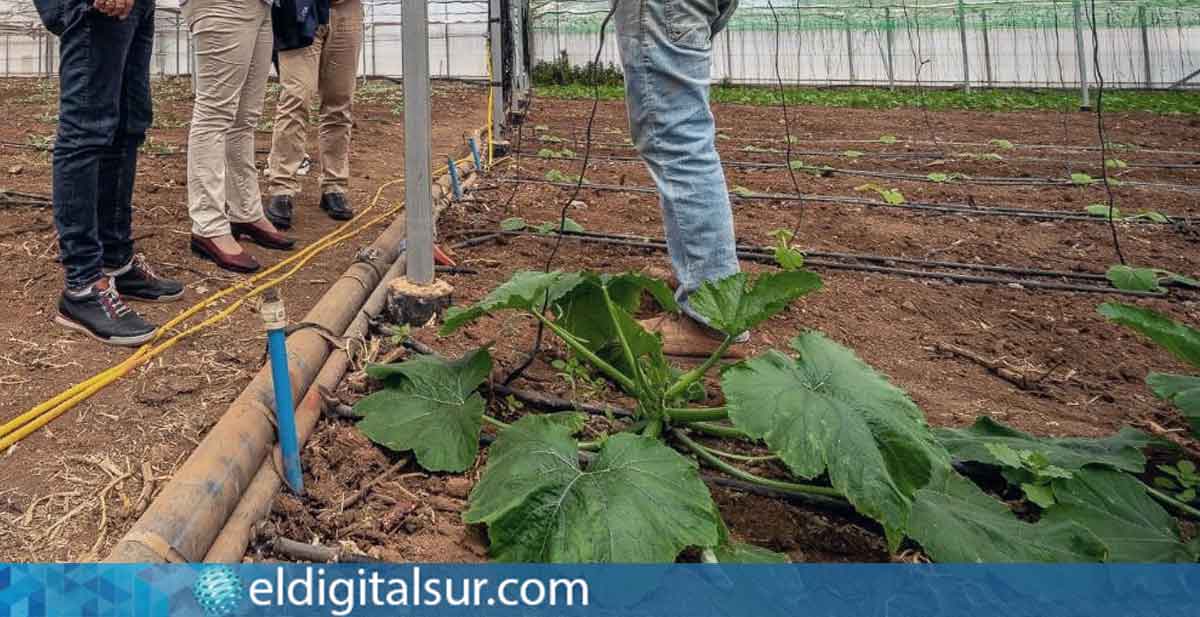 Agricultores de Tegueste durante una de sus reuniones previas