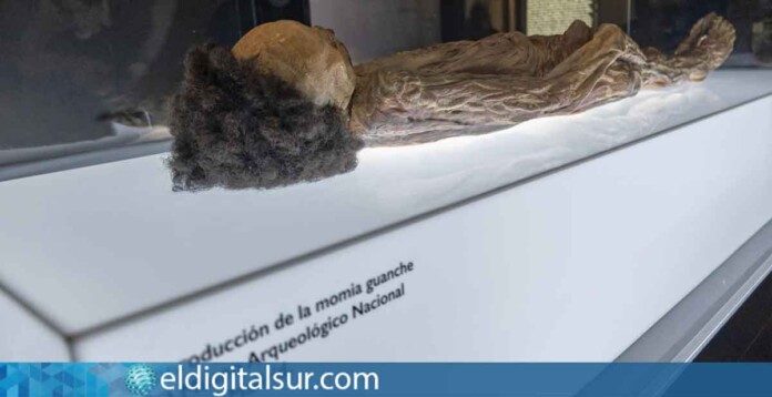 Replica de la momia de Erques en el MUNA