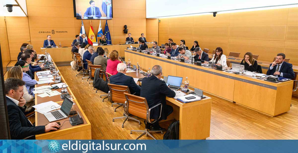 Pleno de la Corporación insular durante la aprobación de la moción sobre el refuerzo de los Cuerpos y Fuerzas de Seguridad del Estado en Canarias.