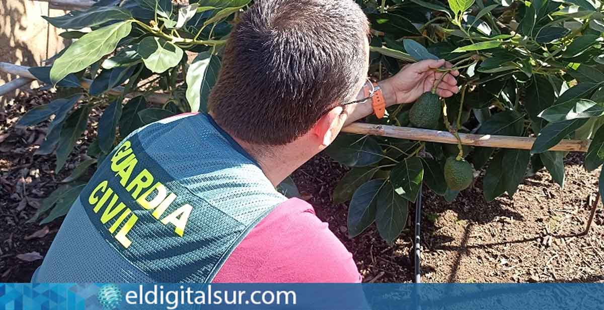 Agente de la Guardia Civil durante la investigación