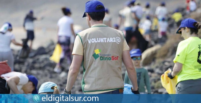 Acción de limpieza de playa a cargo de los voluntarios de la Fundación DinoSol
