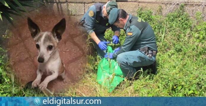 Agentes de la Guardia Civil localizan el cuerpo de 