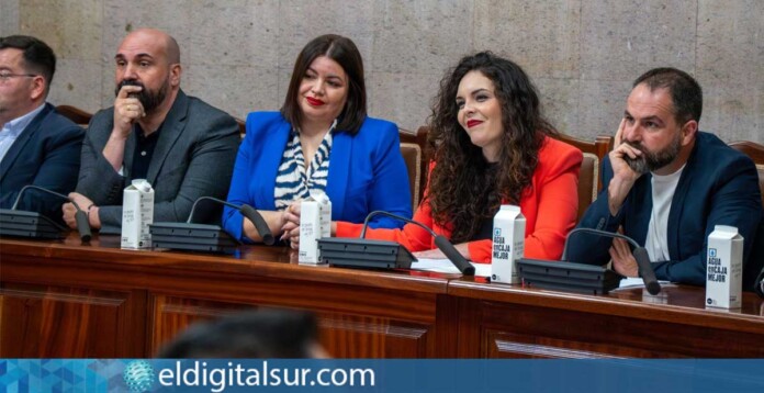 Miembros del Grupo Socialista, junto a la edil no adscrita Bianca Cerbán