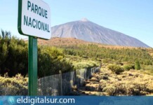 Parque Nacional del Teide, Tenerife