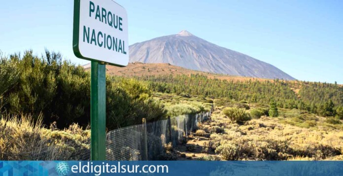 Parque Nacional del Teide, Tenerife