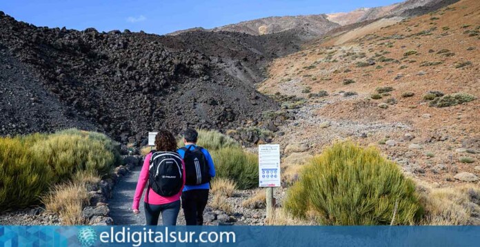 El Cabildo de Tenerife ha reabierto al público casi todos los senderos del Parque Nacional del Teide
