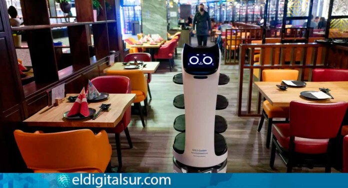 robots hosteleria