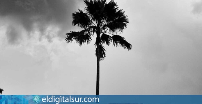 El Gobierno activa la alerta máxima por viento en La Palma y Tenerife ante la llegada de la borrasca Nuria