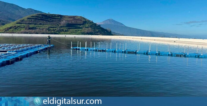 Balsa-Tenerife-090525 Las reservas de agua de riego en las balsas de la isla alcanzan un 71,1% de su capacidad total en mayo 2025