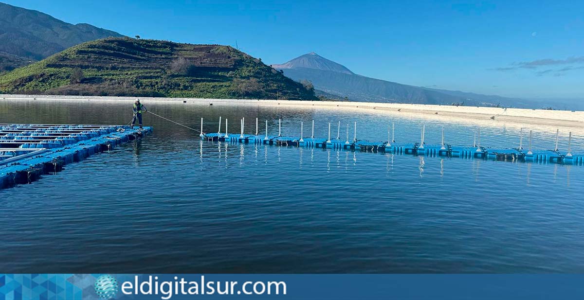Las reservas de agua de riego en las balsas de la isla alcanzan un 71,1% de su capacidad total en mayo 2025