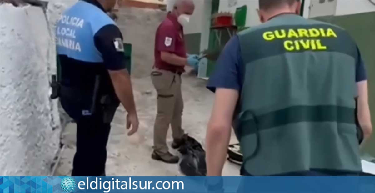 Agentes del SEPRONA y técnicos del Gobierno de Canarias durante la intervención en el vivero ilegal de El Rosario con apoyo de la Policía Local