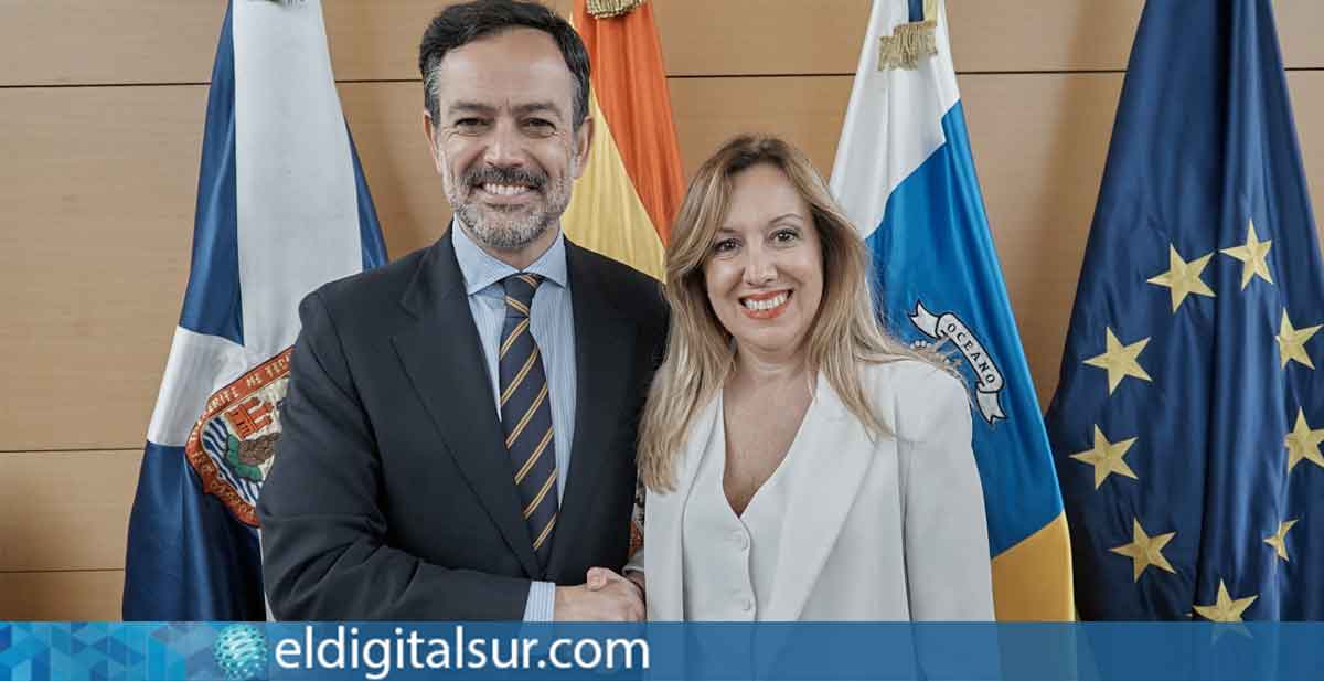 Lope Afonso y Rosa Dávila durante la presentación del balance de gestión en el Cabildo de Tenerife