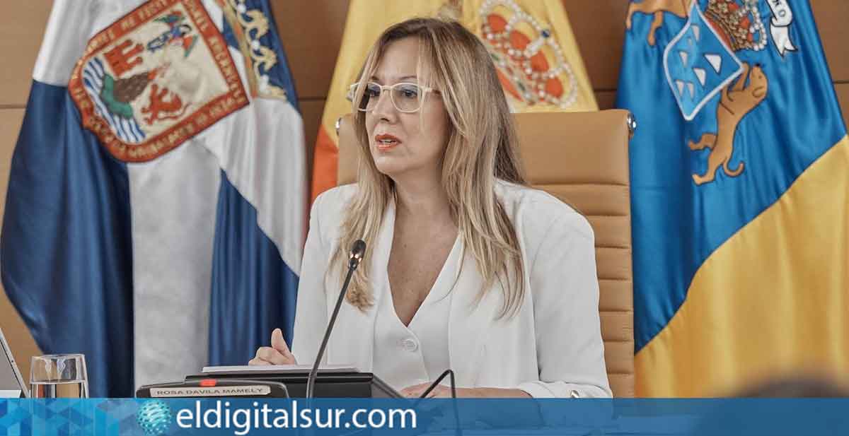 La presidenta del Cabildo de Tenerife, Rosa Dávila