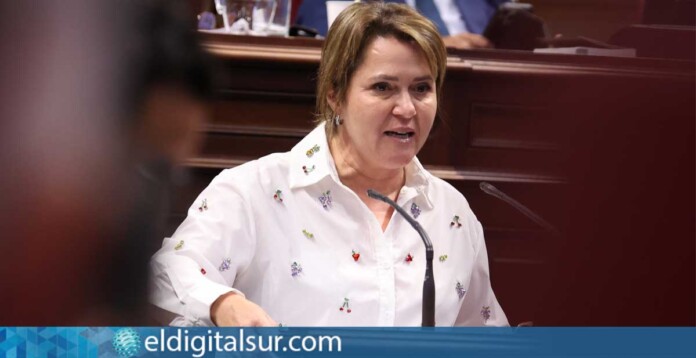 Alicia Vanoostende, portavoz de Transición Ecológica del Grupo Socialista