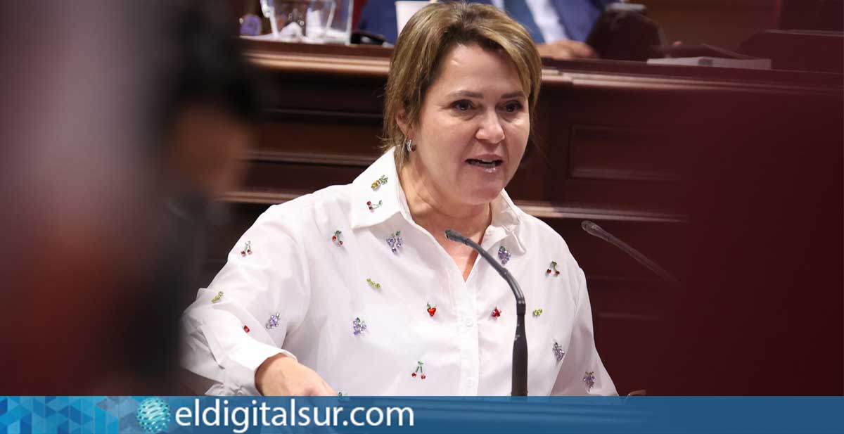 Alicia Vanoostende, portavoz de Transición Ecológica del Grupo Socialista