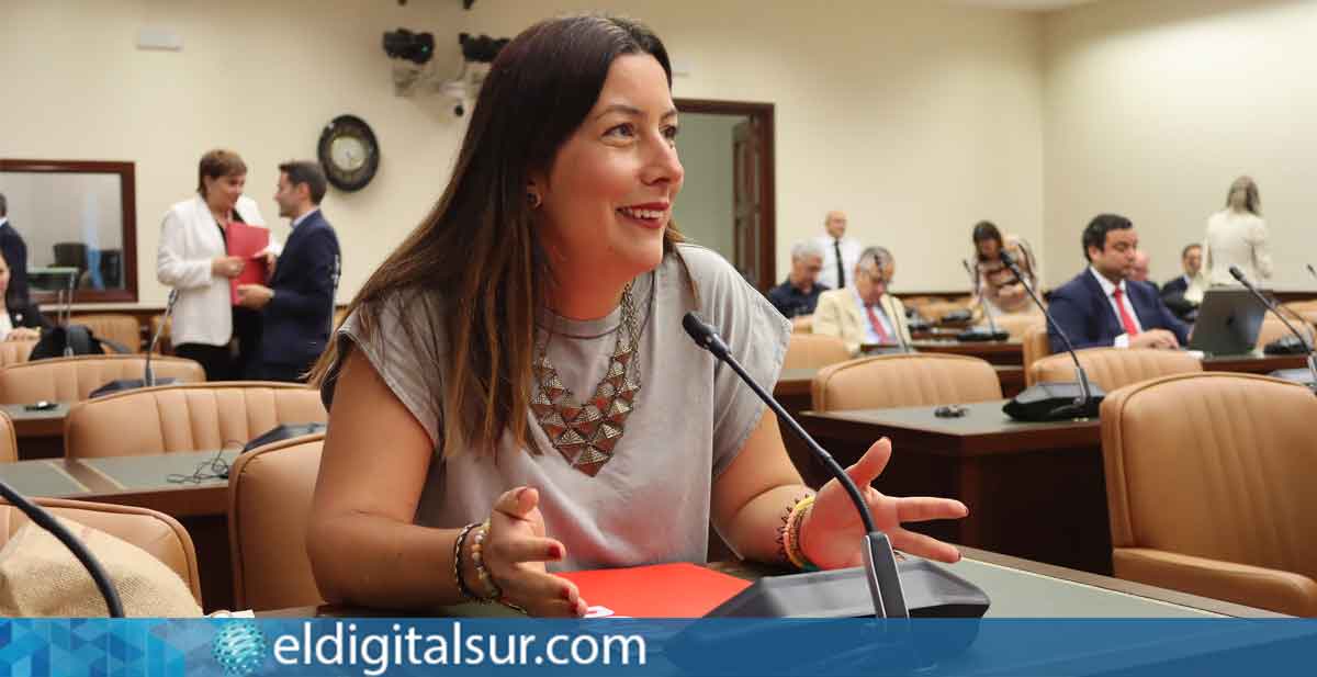 Alicia Álvarez, diputada del PSOE