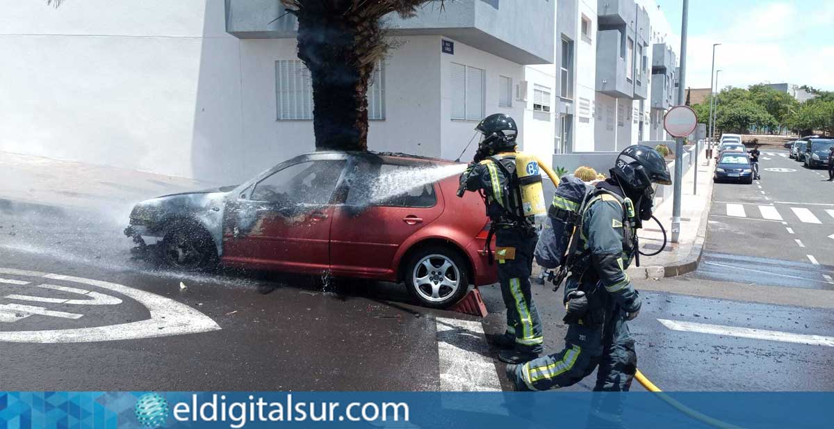 Bomberos de Santa Cruz sofocan un incendio en un vehículo que también afectó a una palmera en la zona de La Gallega