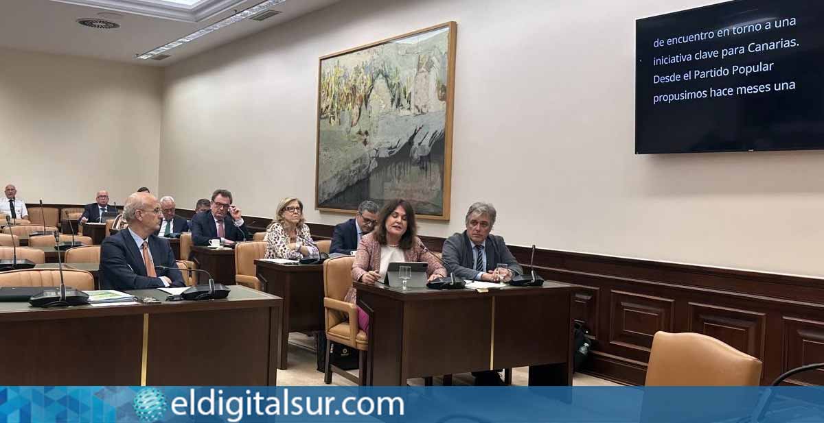 La diputada del Partido Popular por Las Palmas, Jimena Delgado, durante su intervención en la Comisión de Hacienda del Congreso